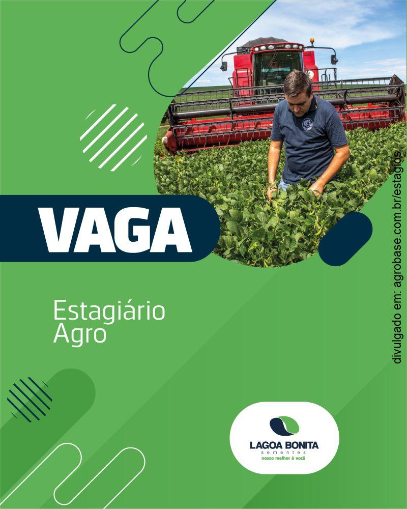 Estágio agro – Itaberá/SP