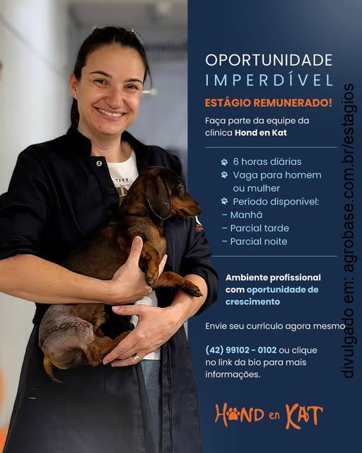 Estágio remunerado clínica veterinária – Castro/PR