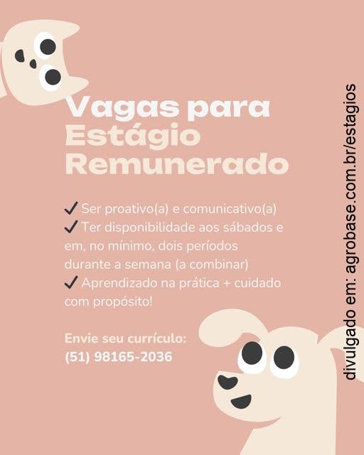 Estágio em veterinária – Santa Cruz do Sul/RS