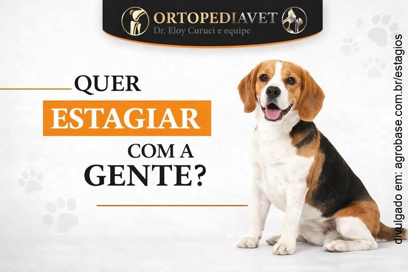 Estágio obrigatório ortopedia veterinária – São Paulo/SP [Campo Belo]