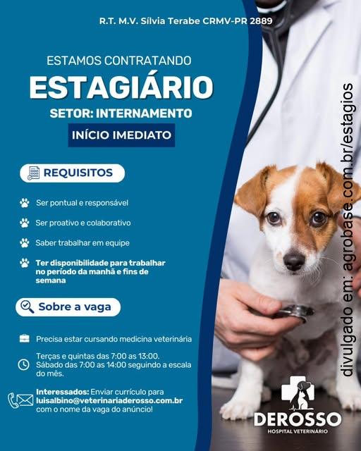 Estágio setor de internamento – Curitiba/PR