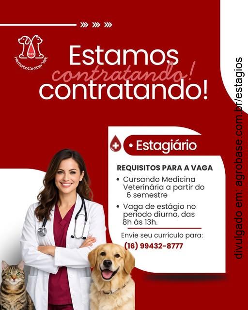 Estágio medicina veterinária – Ribeirão Preto/SP