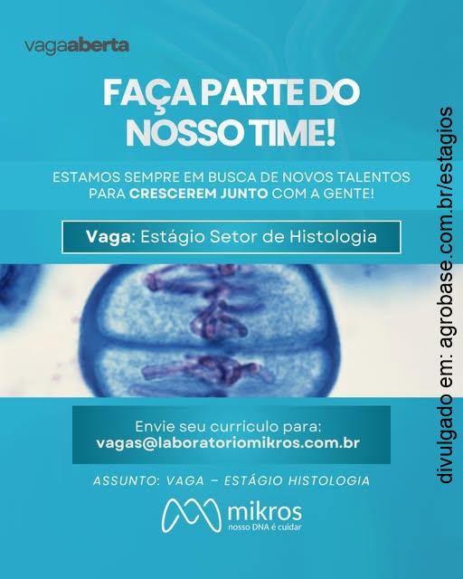 Estágio setor de histologia – Fortaleza/CE