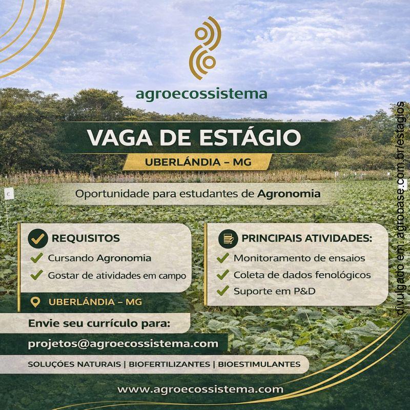 Estágio em pesquisa agronômica – Uberlândia-MG