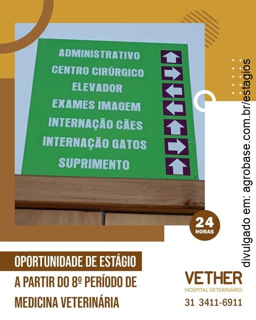 Estágio em medicina veterinária – Belo Horizonte/MG