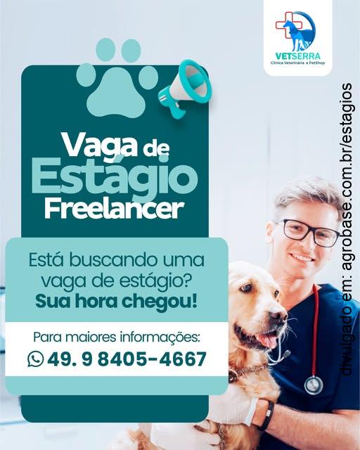 Estágio veterinária freelancer – Lages/SC