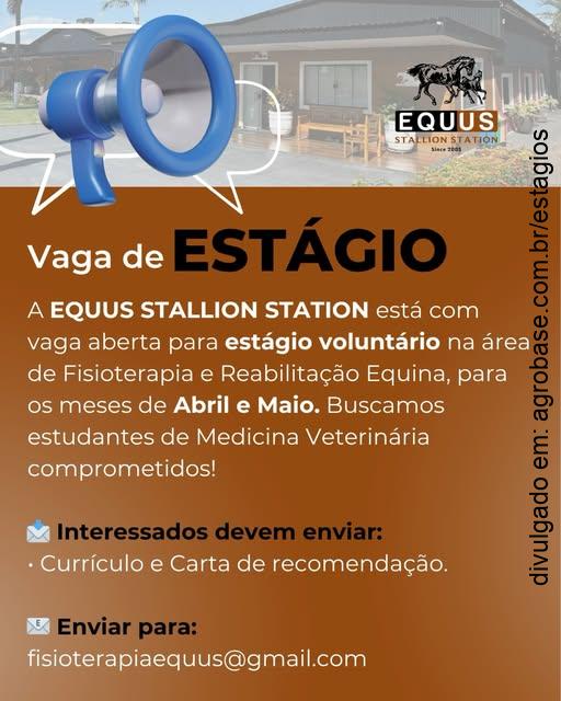 Estágio voluntário fisioterapia e reabilitação equina – Novo Horizonte/SP