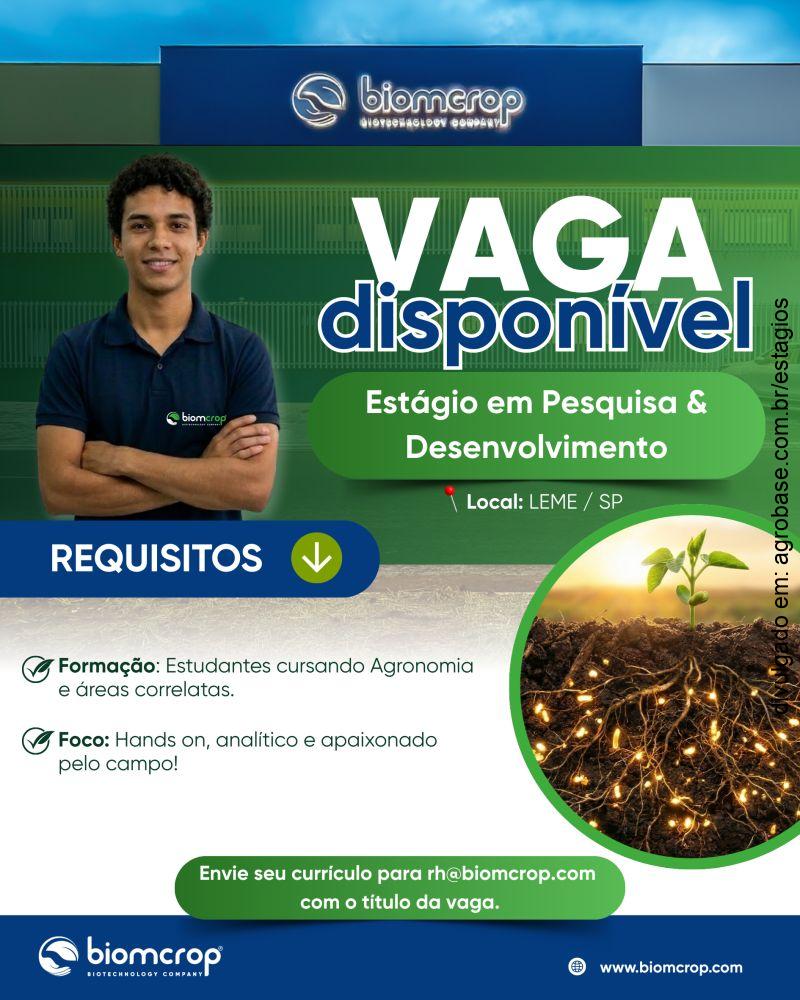 Estágio em pesquisa e desenvolvimento – Leme/SP