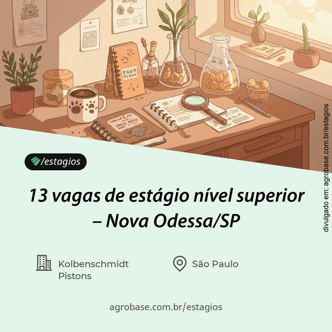 13 vagas de estágio nível superior – Nova Odessa/SP