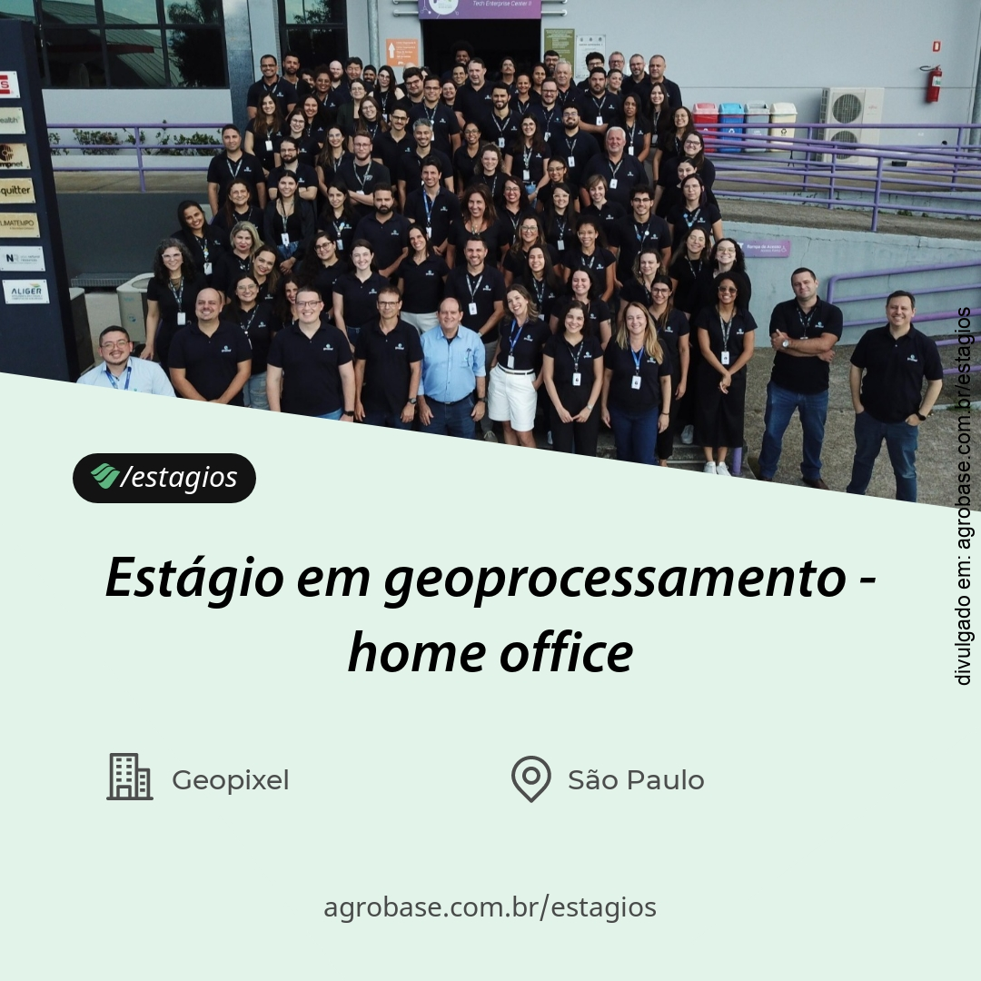 Estágio em geoprocessamento – home office