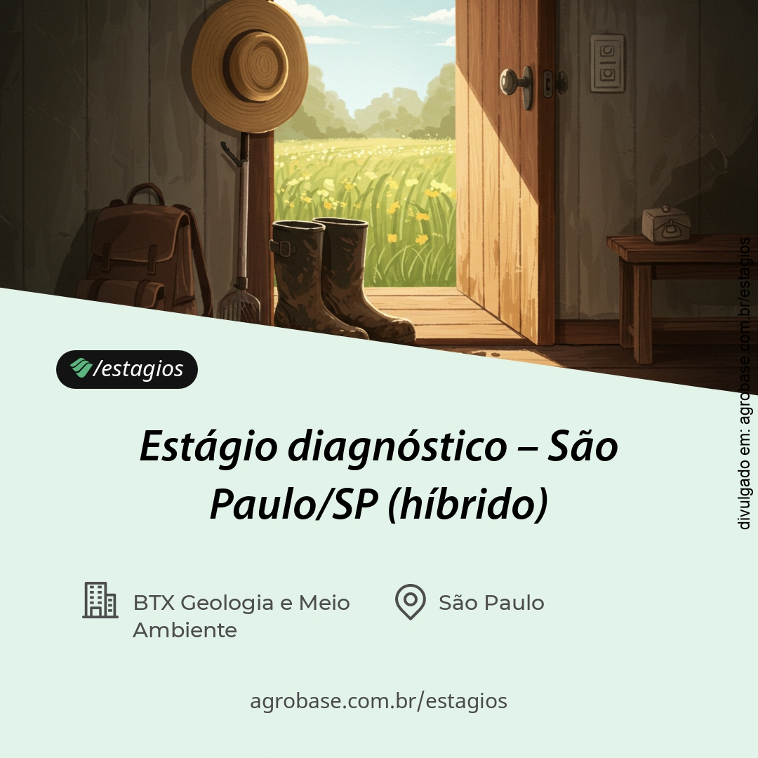 Estágio diagnóstico –  São Paulo/SP (híbrido)