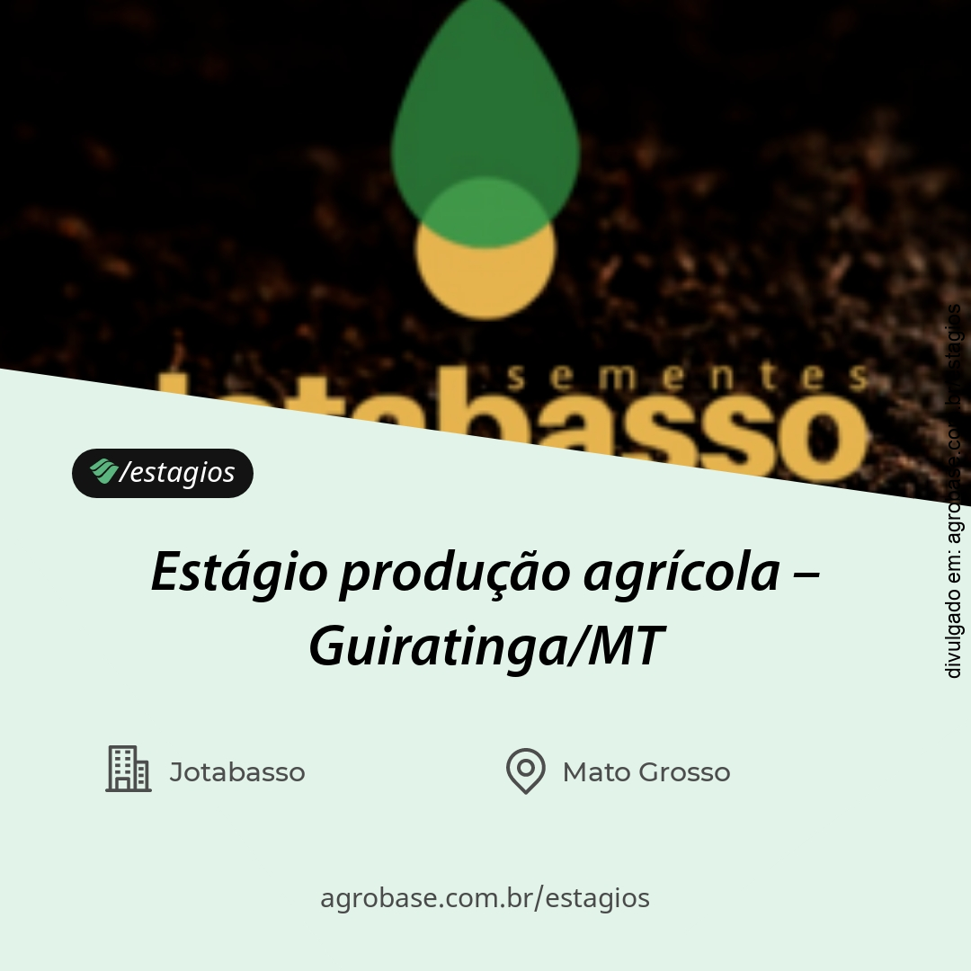 Estágio produção agrícola – Guiratinga/MT