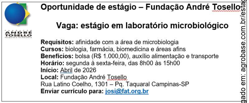 Estágio em laboratório microbiológico – Campinas/SP