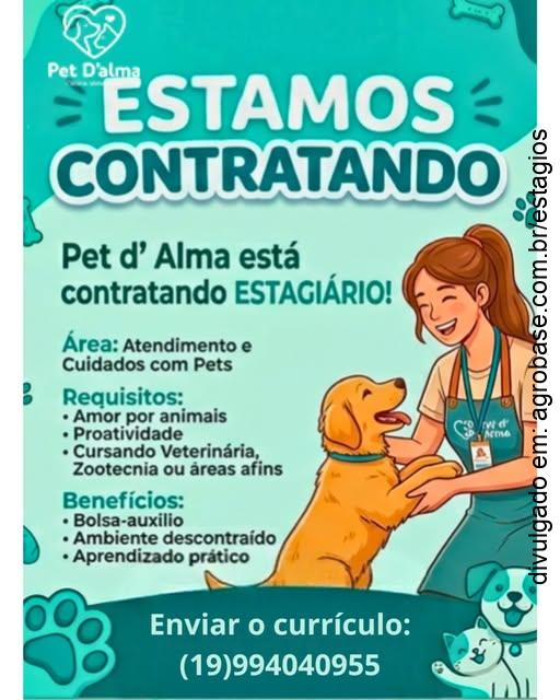 Estágio atendimento e cuidados com pets – Mogi-Guaçu/SP