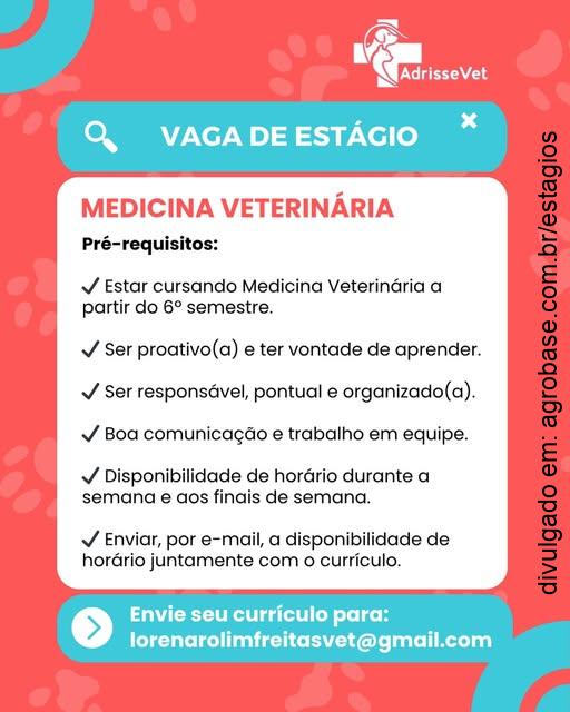 Estágio medicina veterinária – Fortaleza/CE