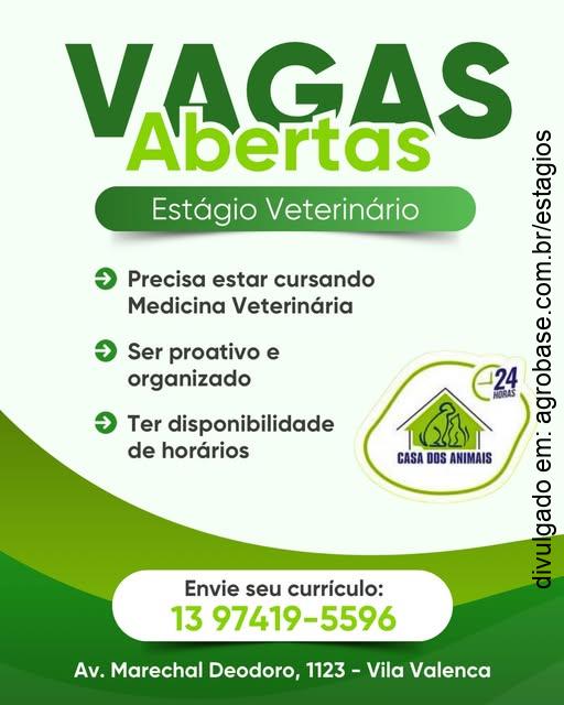 Estágio veterinário – São Vicente/SP