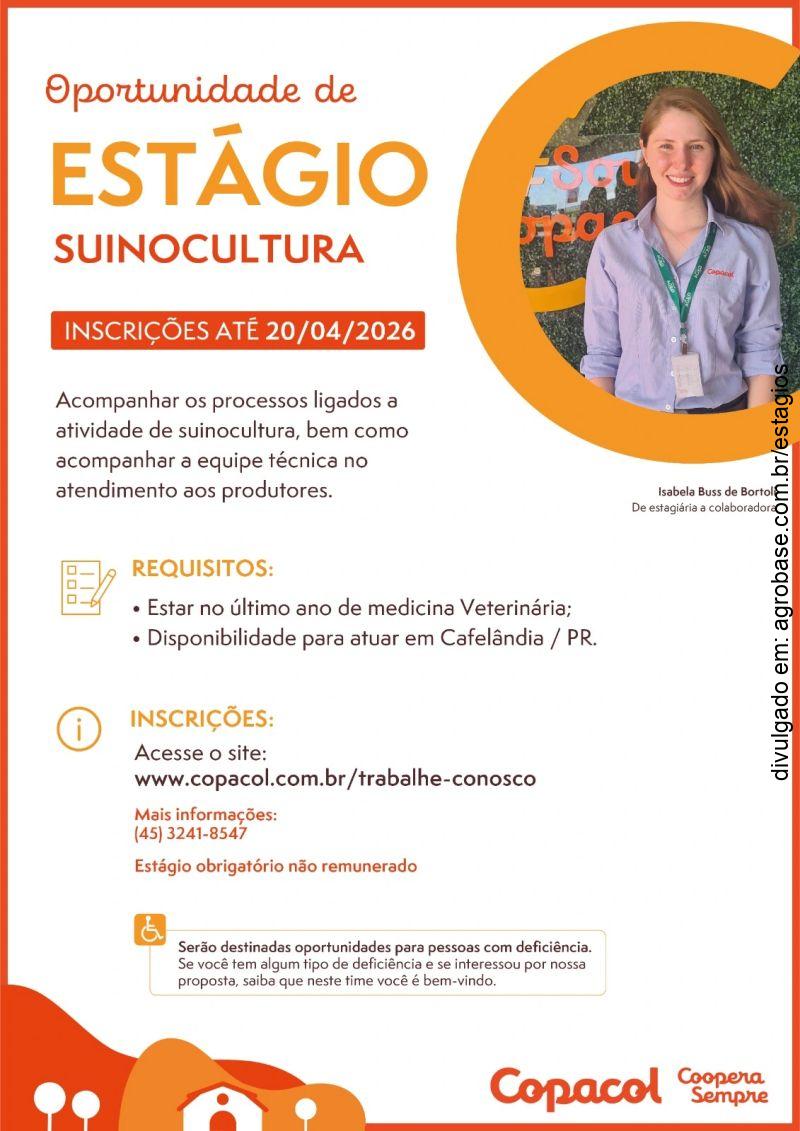 Estágio em suinocultura – Cafelândia/PR