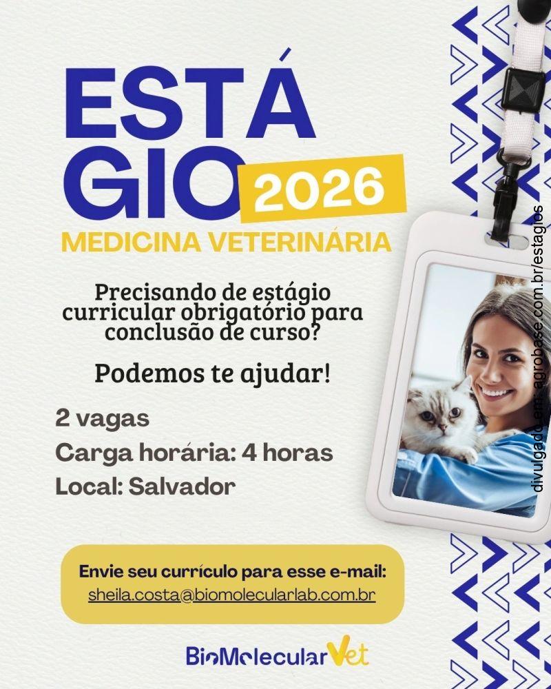 02 vagas de estágio em medicina veterinária – Salvador/BA