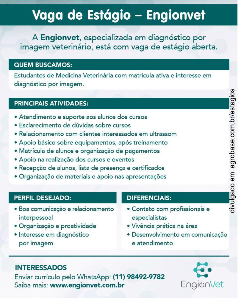 Estágio em diagnóstico por imagem veterinário – Santo André/SP
