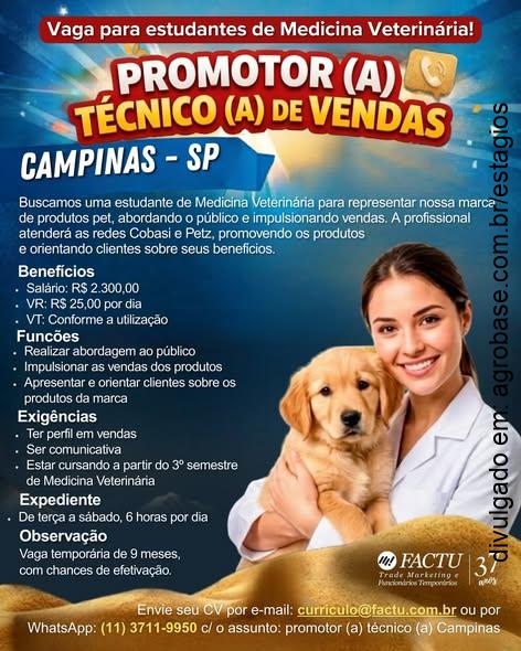 Estágio promotor(a) técnico(a) de vendas – Campinas/SP