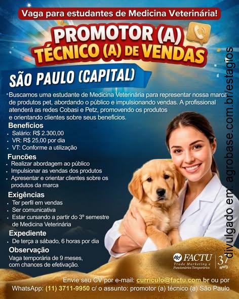 Estágio promotor(a) técnico(a) de vendas – São Paulo/SP