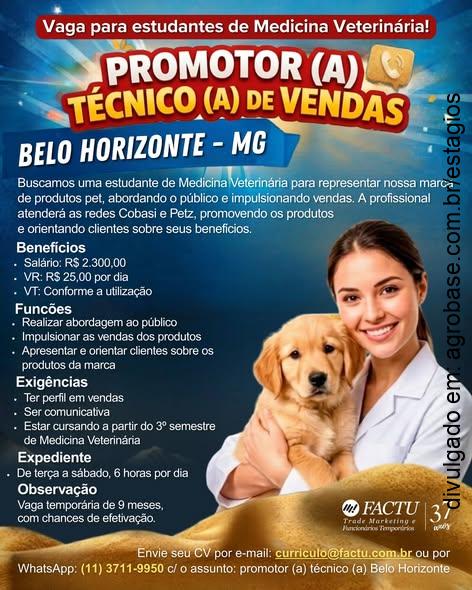 Estágio promotor(a) técnico(a) de vendas – Belo Horizonte/MG