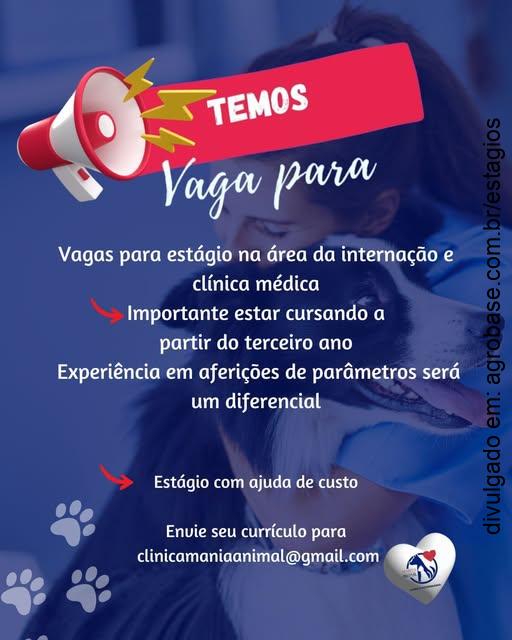 Estágio na área da internação e clínica médica – São Bernardo do Campo/SP