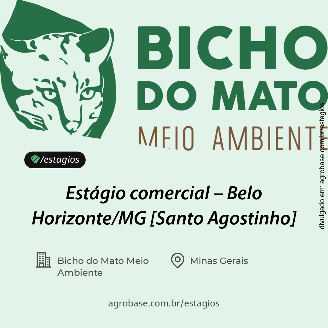 Estágio comercial – Belo Horizonte/MG [Santo Agostinho]