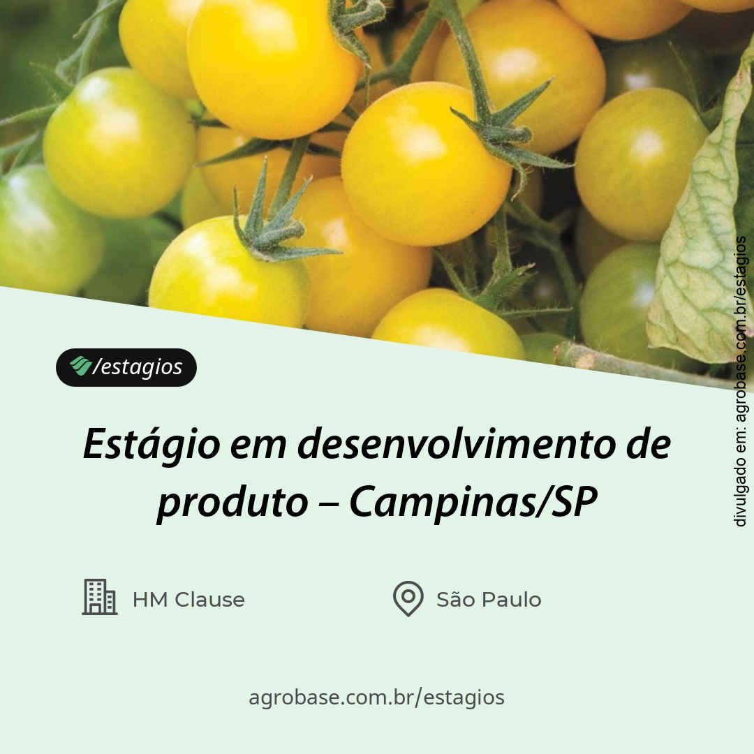 Estágio em desenvolvimento de produto – Campinas/SP