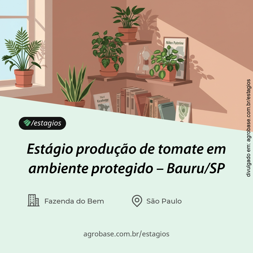 Estágio produção de tomate em ambiente protegido – Bauru/SP