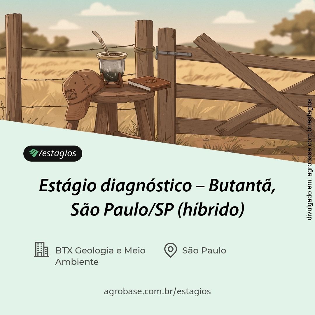 Estágio diagnóstico – São Paulo/SP (híbrido)