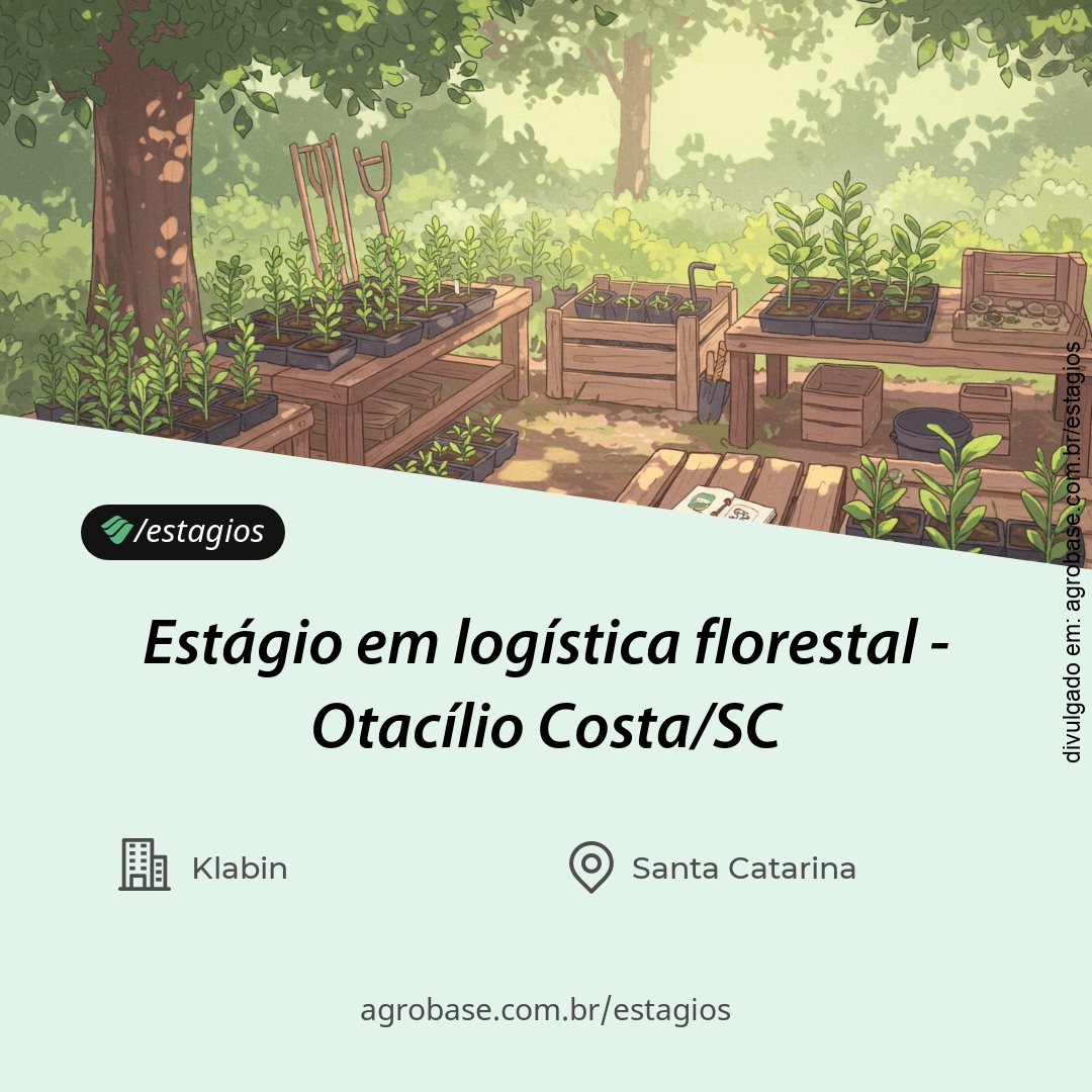 Estágio em logística florestal – Otacílio Costa/SC