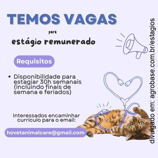 Estágio em medicina veterinária – Ponta Grossa/PR