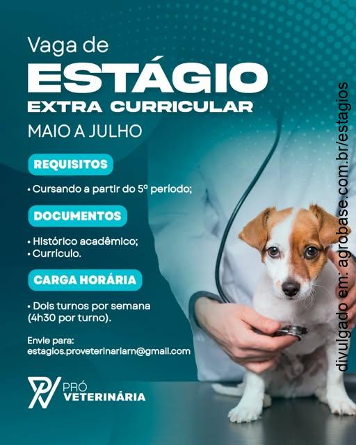 Estágio extracurricular de medicina veterinária – Parnamirim/RN