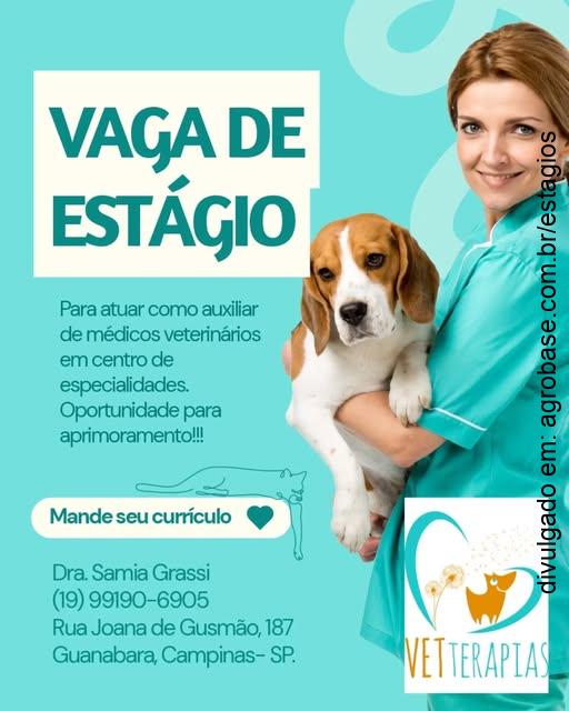 Estágio para auxiliar de veterinário – Campinas/SP