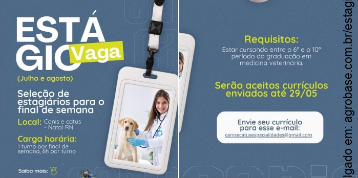 Estágio em medicina veterinária – Natal/RN