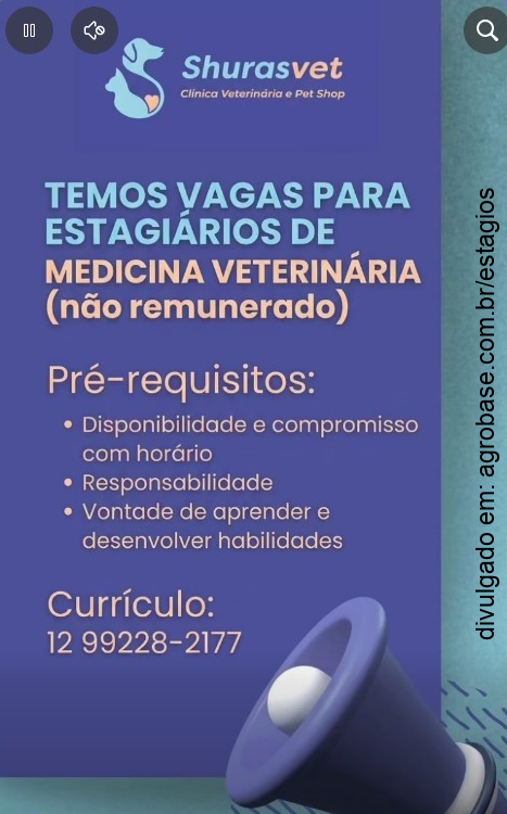 Estágio em medicina veterinária – São José dos Campos/SP