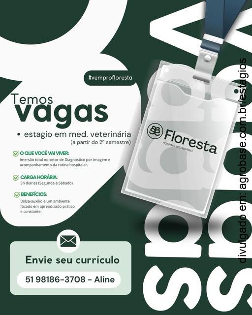 Estágio no setor de imagem – Porto Alegre/RS