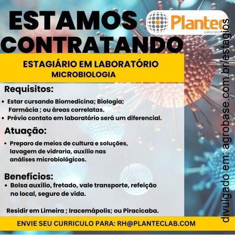 Estágio em laboratório microbiologia – Limeira/SP