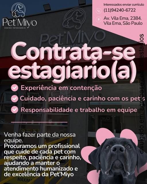 Estágio em medicina veterinária – São Paulo/SP [Vila Ema]