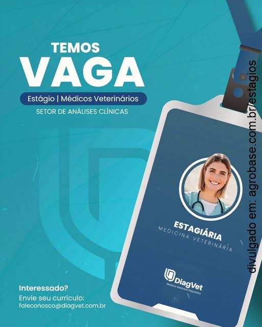 Estágio em análises clínicas [veterinária] – Curitiba/PR