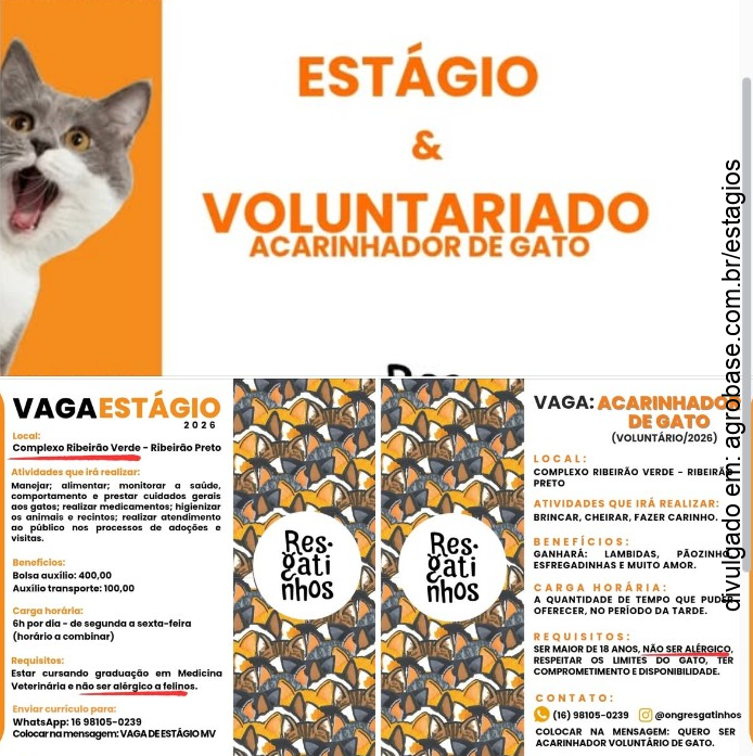 Estágio em medicina veterinária – Ribeirão Preto/SP