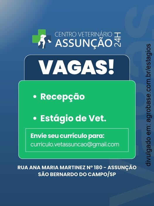 Estágio em veterinário – São Bernardo do Campo/SP