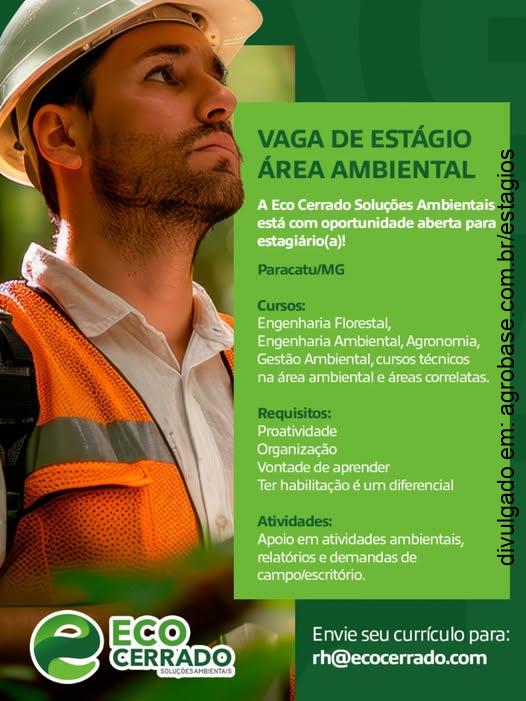 Estágio na área ambiental – Paracatu/MG
