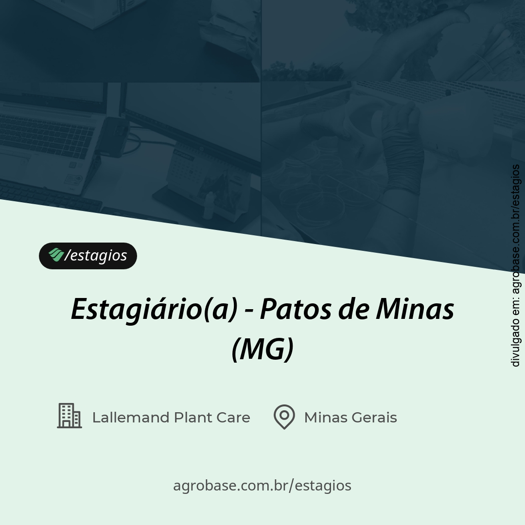 Estagiário(a) – Patos de Minas/MG