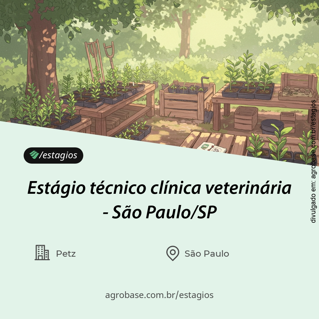 Estágio técnico clínica veterinária – São Paulo/SP