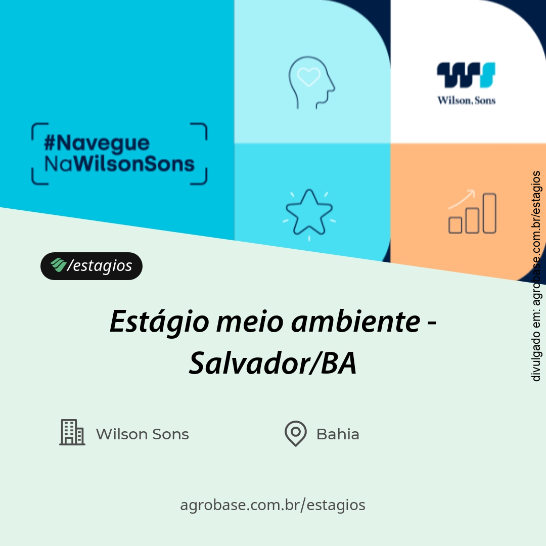 Estágio meio ambiente – Salvador/BA