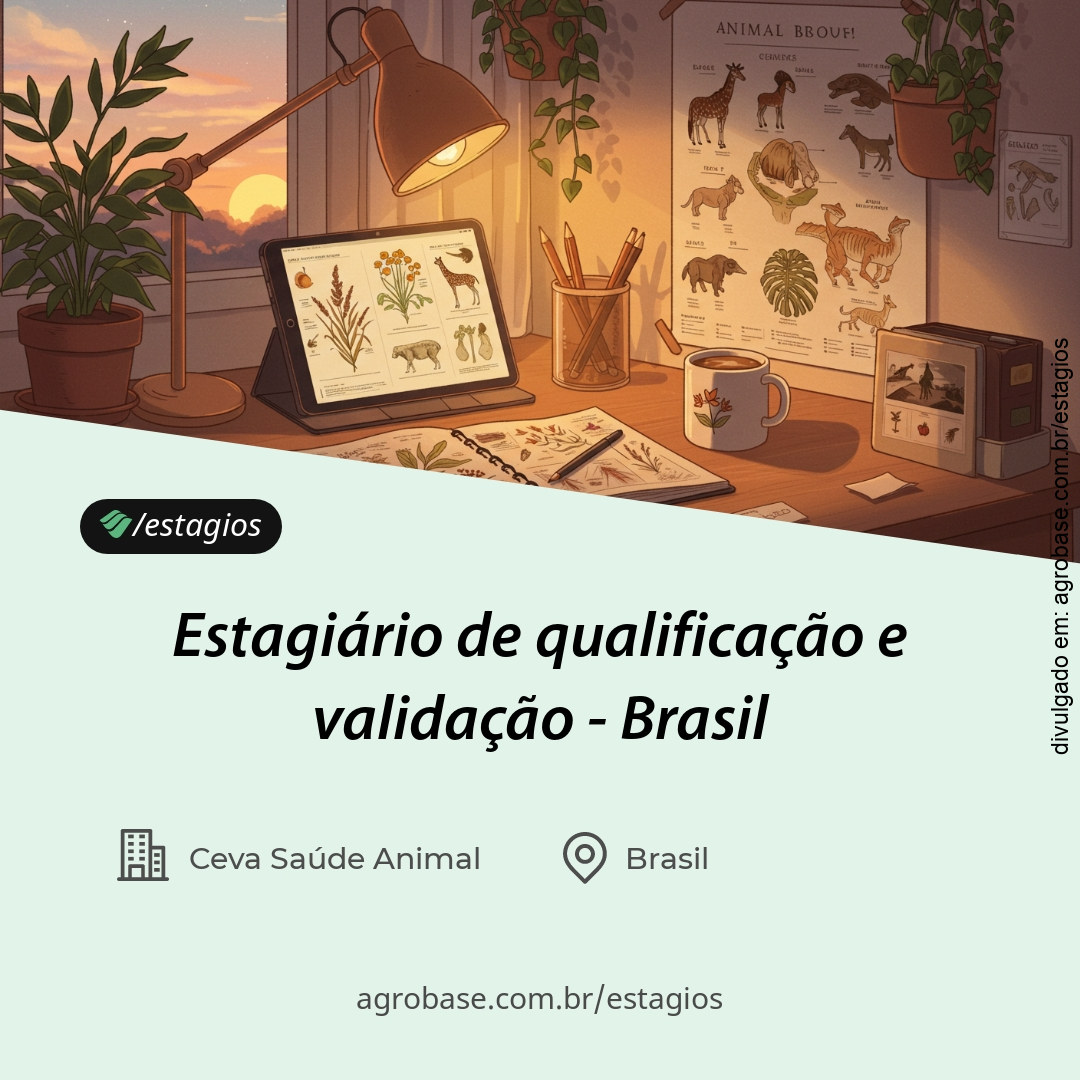 Estagiário de qualificação e validação – Brasil