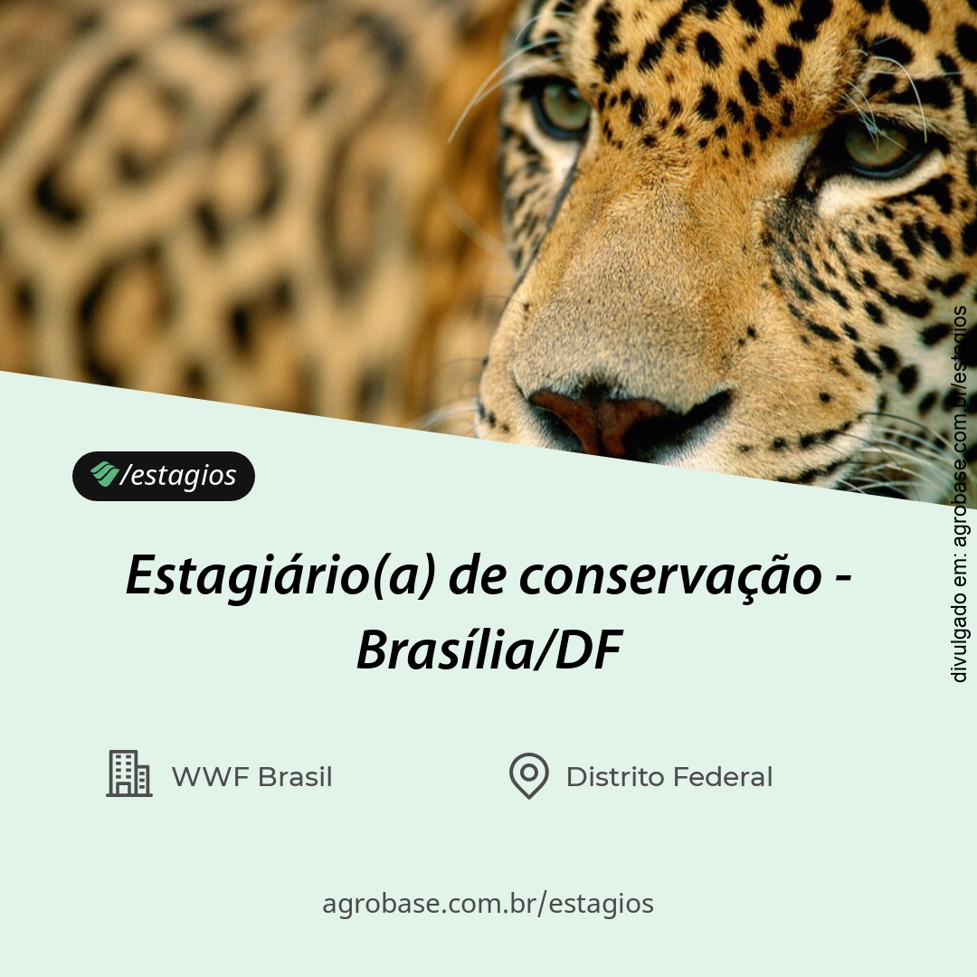 Estagiário(a) de conservação – Brasília/DF