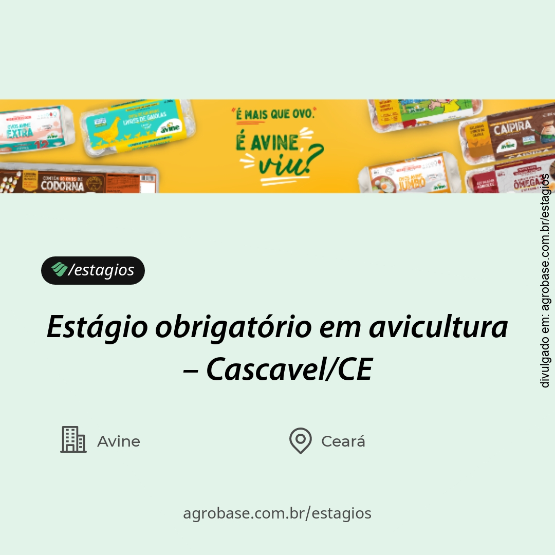 Estágio obrigatório em avicultura – Cascavel/CE